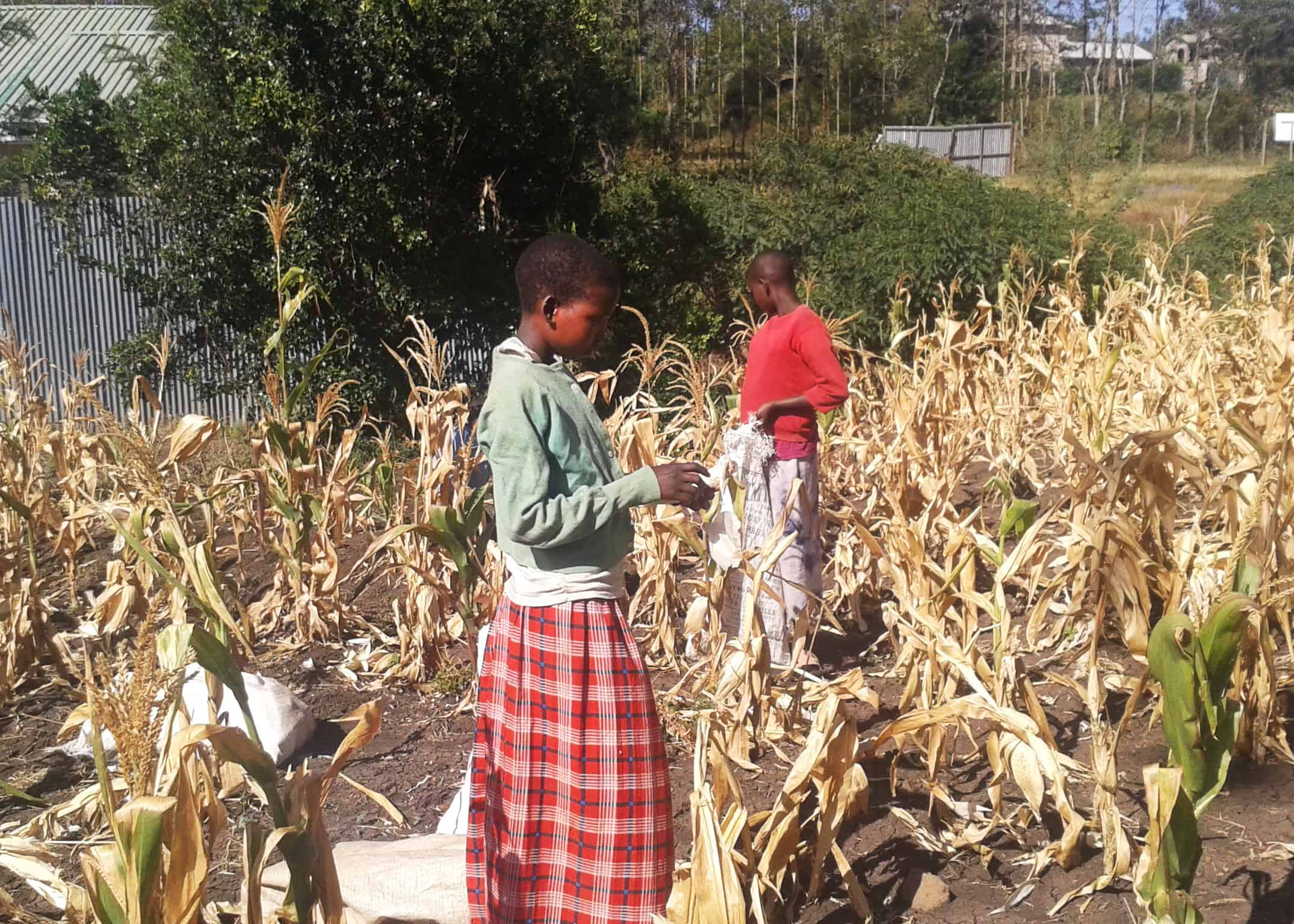 Girls Farming at the Wadada Farm